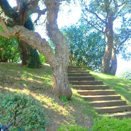 Laguna Haven Saint-Tropez